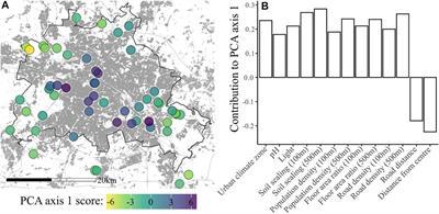 Non-Mycorrhizal Fungal Presence Within Roots Increases Across an Urban Gradient in Berlin, Germany